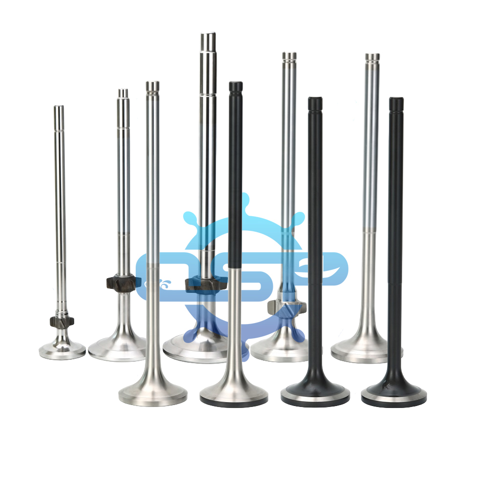 RK215 Intake Valve Exhaust Valve